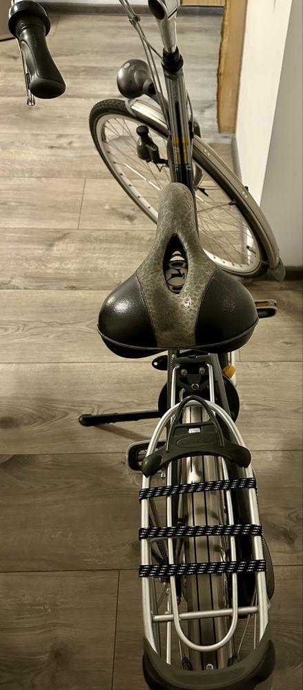 Rower Gazelle Davos Gold