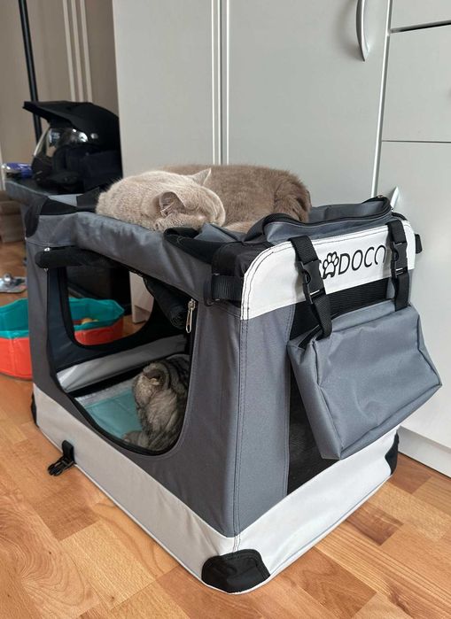 Torba Transporter dla Psa i Kota M 60×42×42 cm – Lekka Składana, NOWA