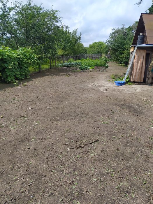 Участие город Шостка