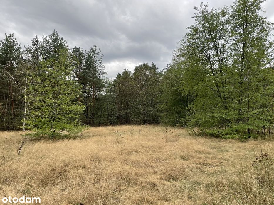 Działki o pow. 4583 m2 pod budowę 6 budynków 2-lokalowych | Józefów