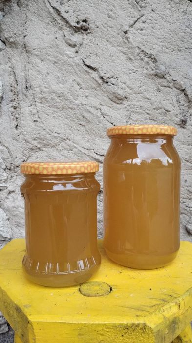 Przepyszny miód z własnej pasieki. Naturalny w 100%.