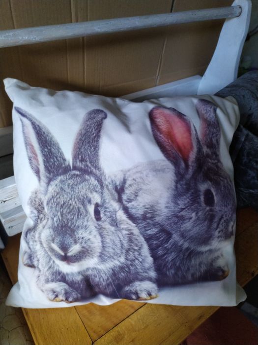 Poduszka welur z królikami.