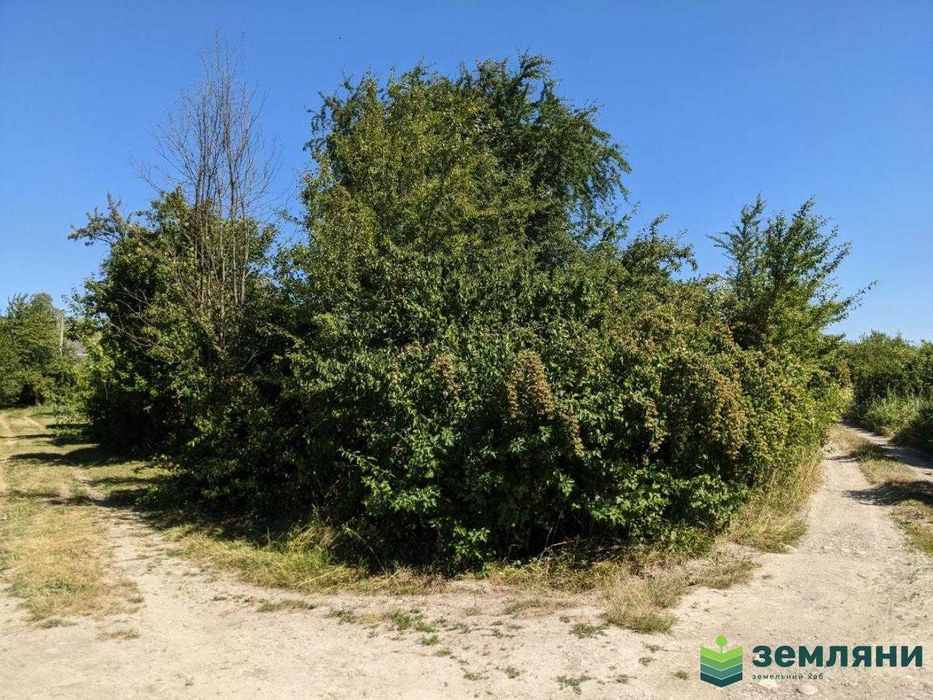 Продаж дачної земельної ділянки в  Клузеві, СТ Цементник, 4.9 сот