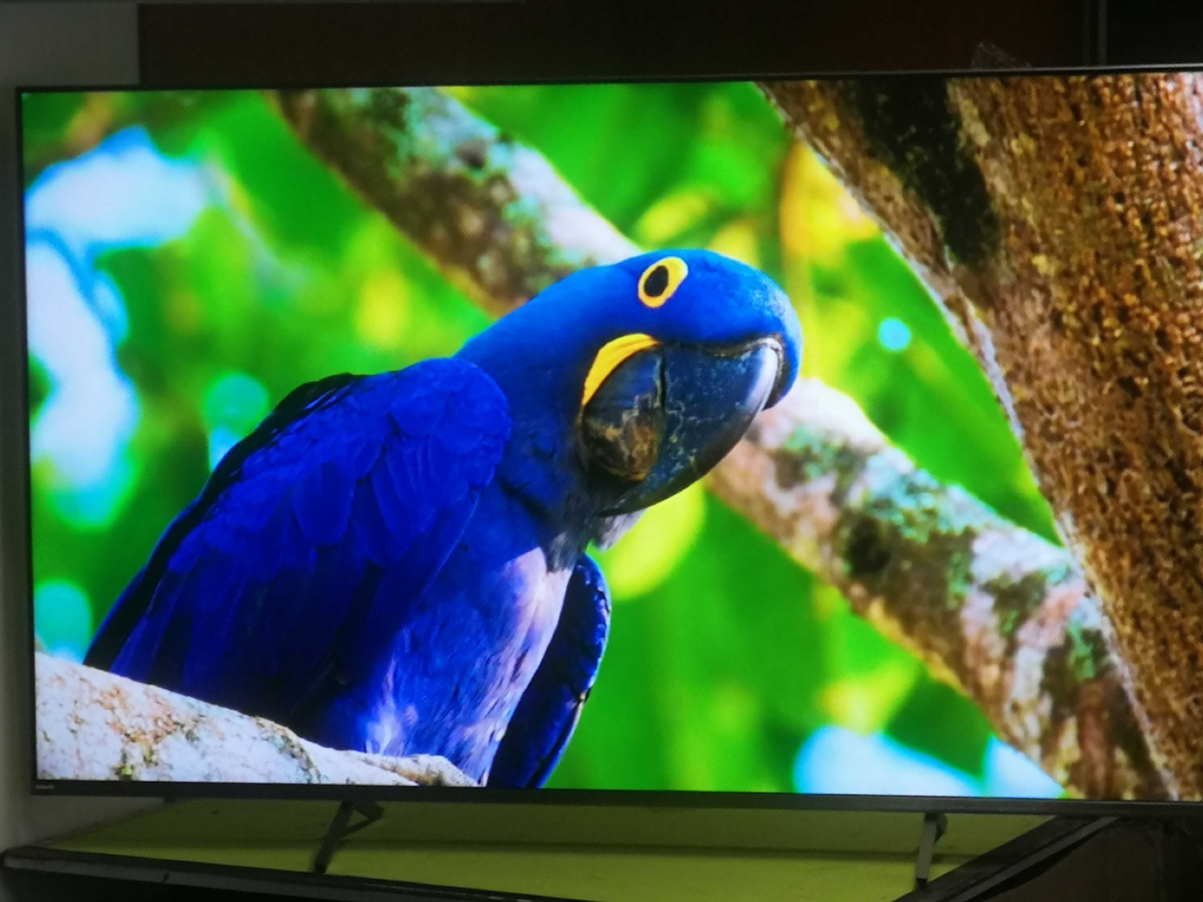 Telewizory  PHILIPS 50 cale 4K UHD, Google Tv, Ambiliht3 Super Stan