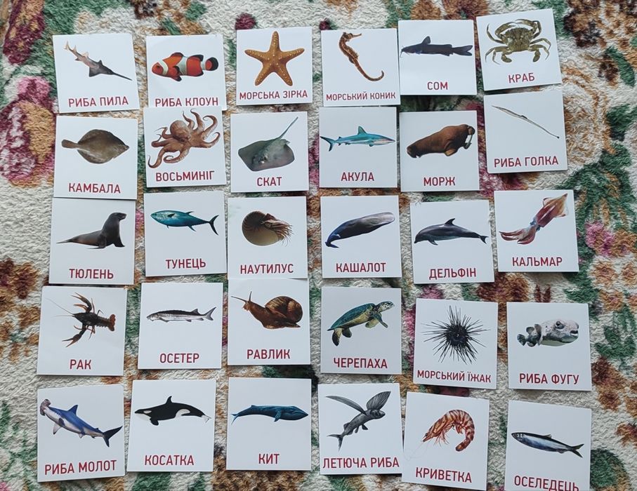 Розвиваючі картки - морські тварини