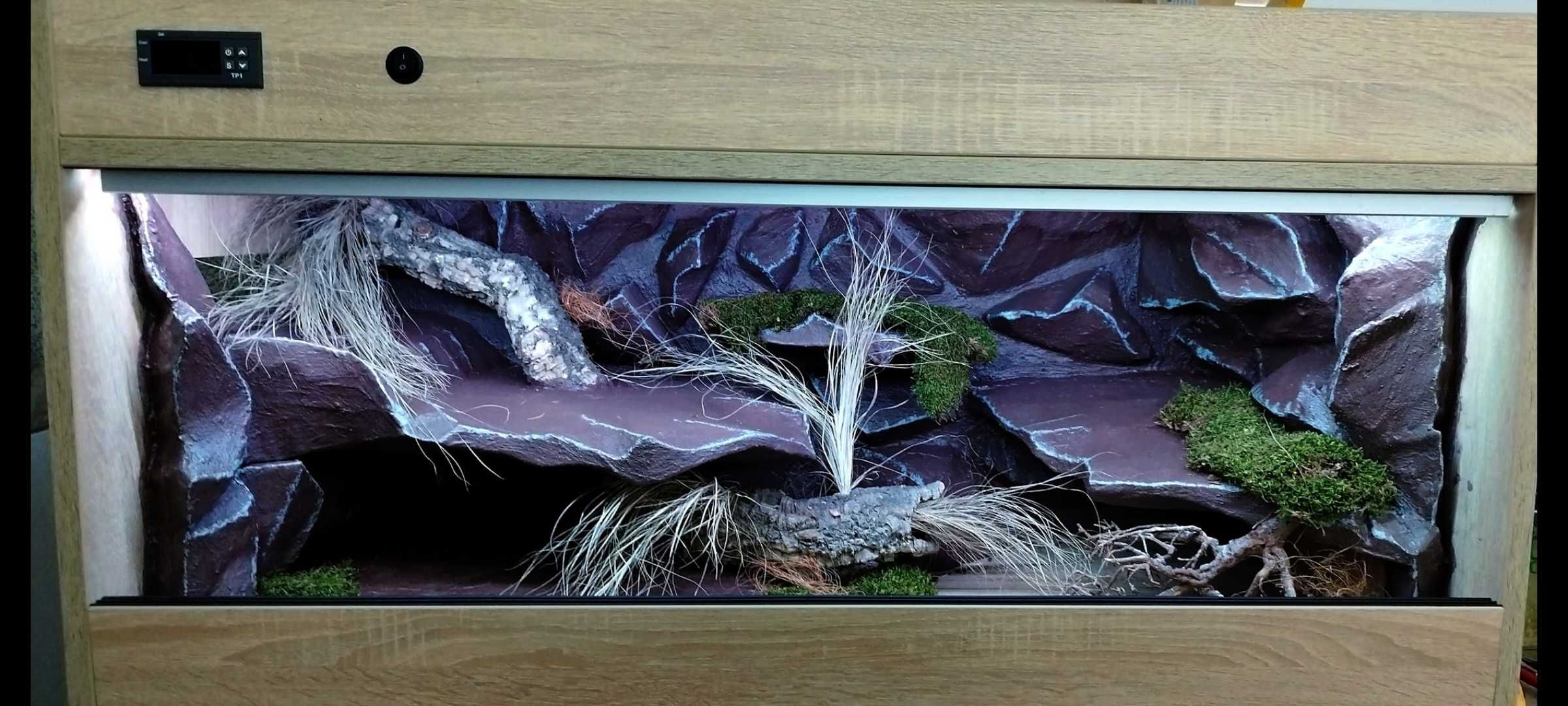 Terrarium pustynne dla agamy brodatej 120x60x60 ( Exotic Leszno )