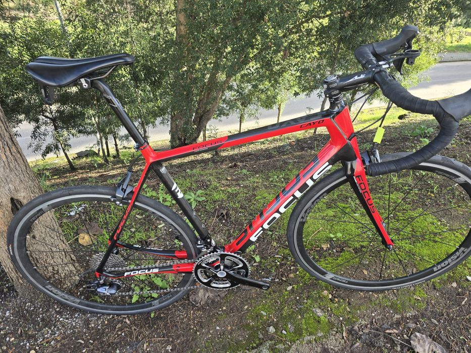 Focus cayo L 11x2v como nova