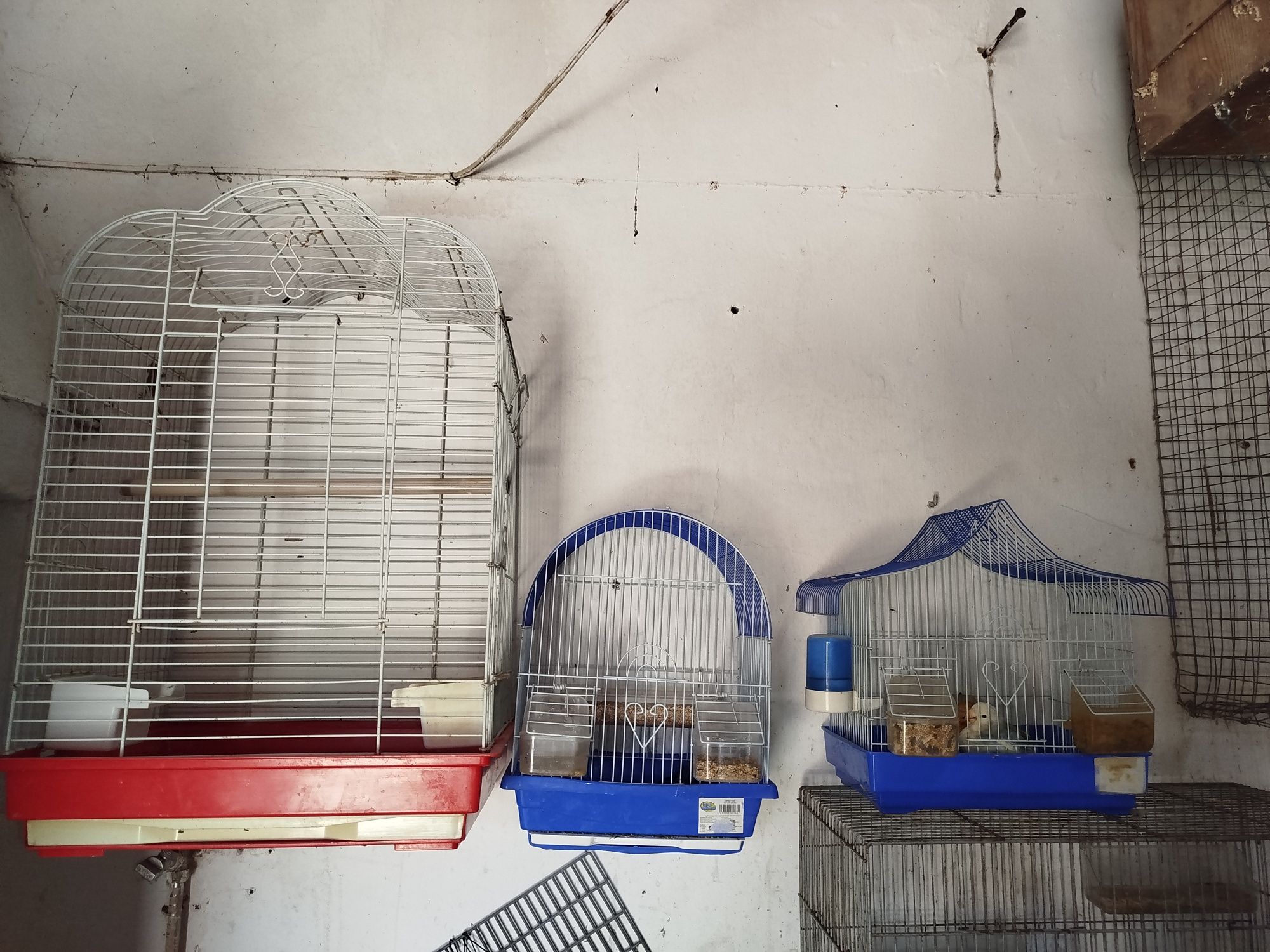 Gaiolas sob orçamento