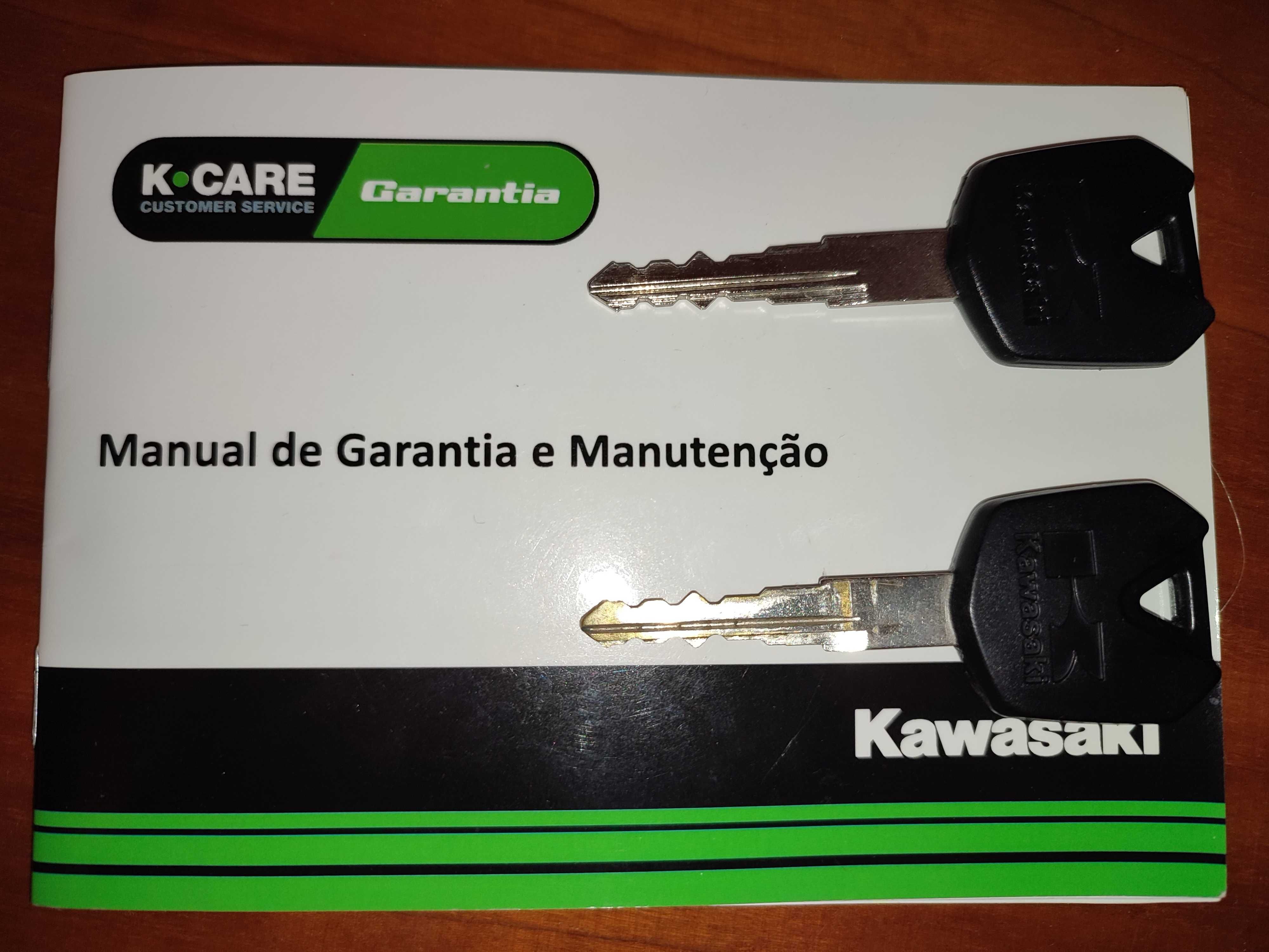Kawasaki ninja 300 abs