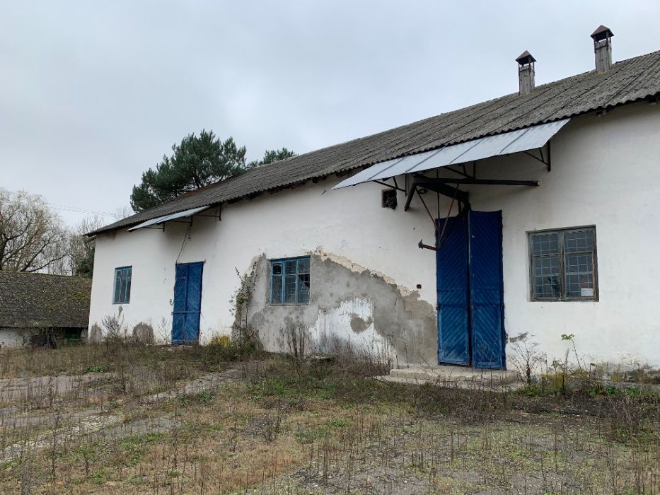 Продаж, оренда майнового комплексу ферми, забійного цеху та заморозки