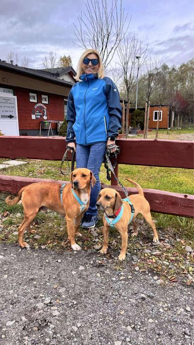 Pigmej i Platon szukają wspólnego domku