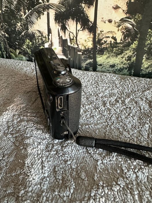 Sony Cybershot DSC-HX10V