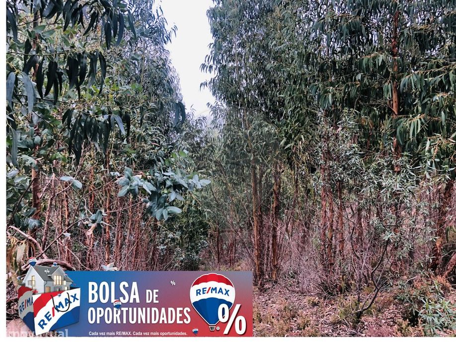 Terreno  para venda