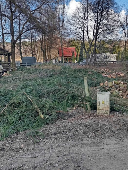 Usługi ogrodnicze, zakładanie, koszenie trawników, frezowanie pni