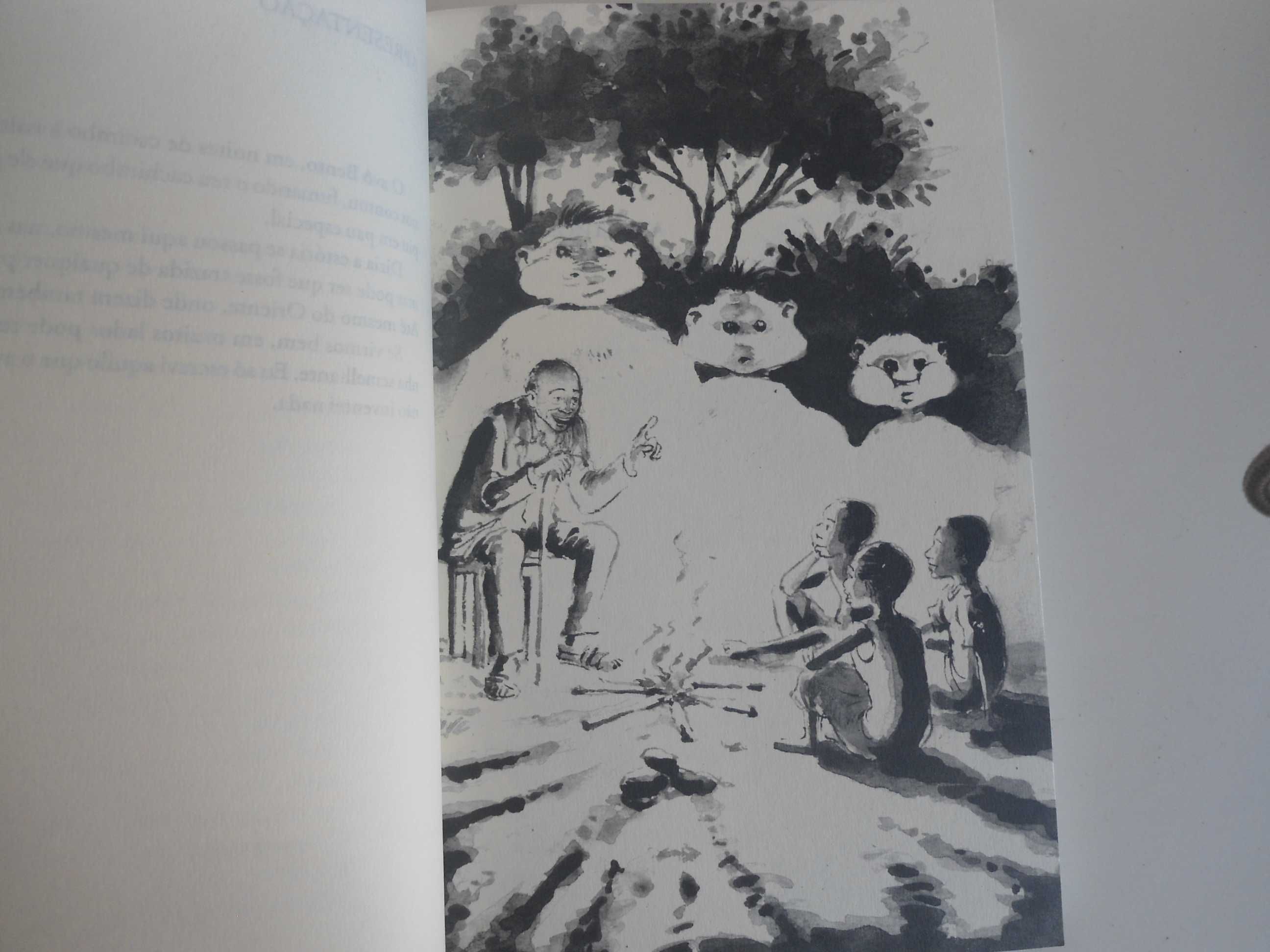 A Montanha da Água Lilás por Pepetela