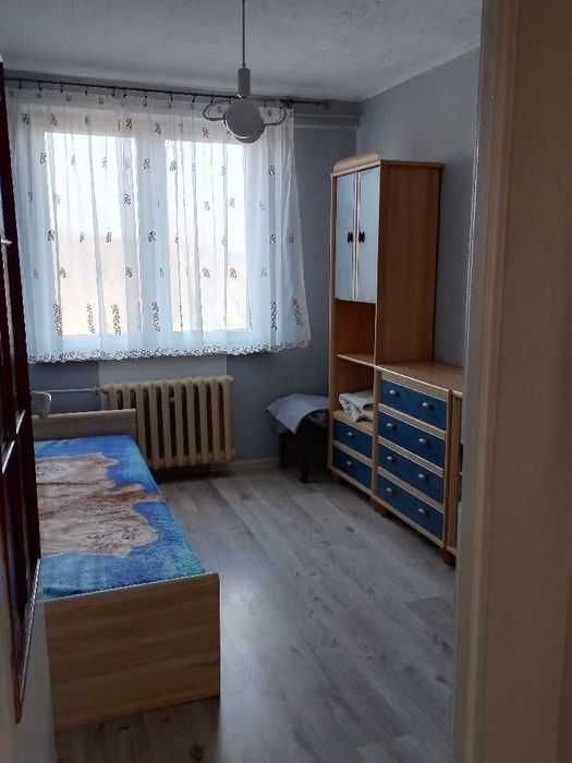 Mieszkanie do wynajęcia - 50 m², Nowa Sarzyna