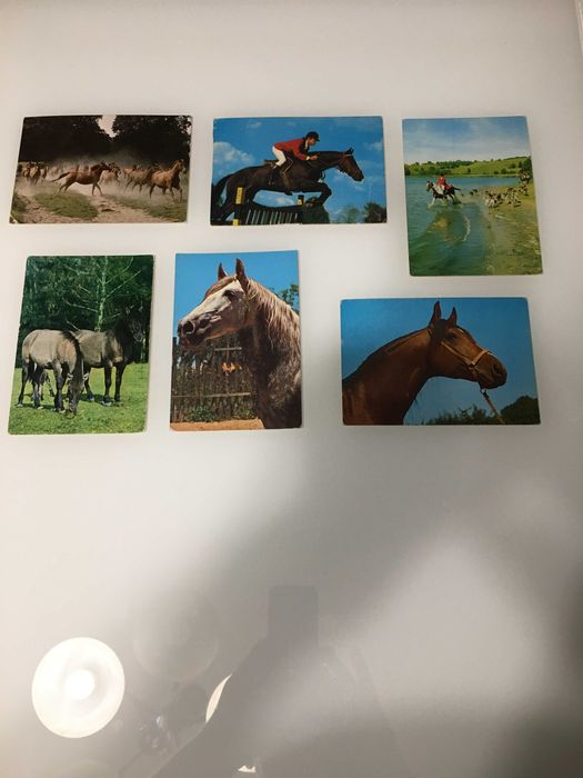 Pocztówki Konie PRL