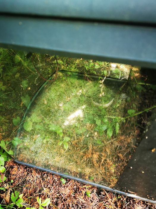 Witam sprzedam akwarium