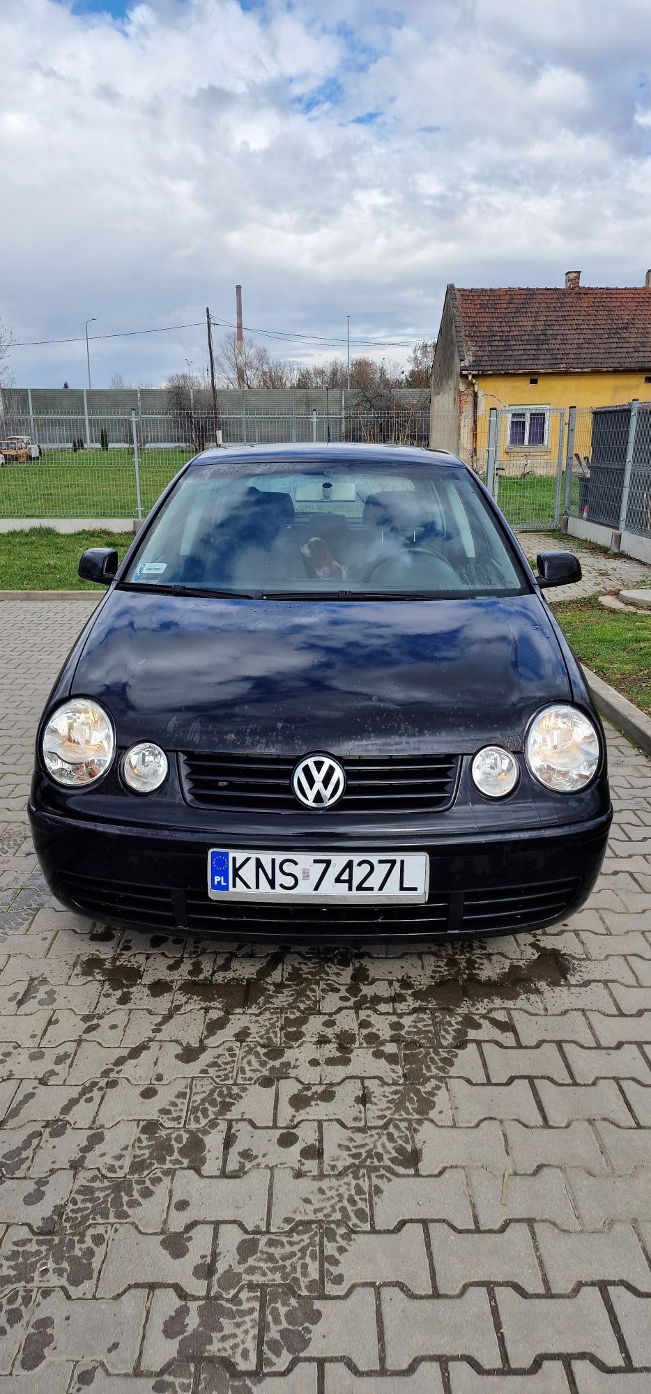 Volkswagen Polo 9n