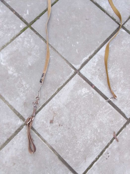 Ошейник + поводки для собаки (комплект)