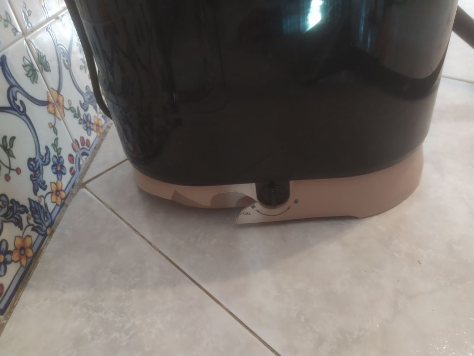 Escova de vapor vertical da marca Rowenta