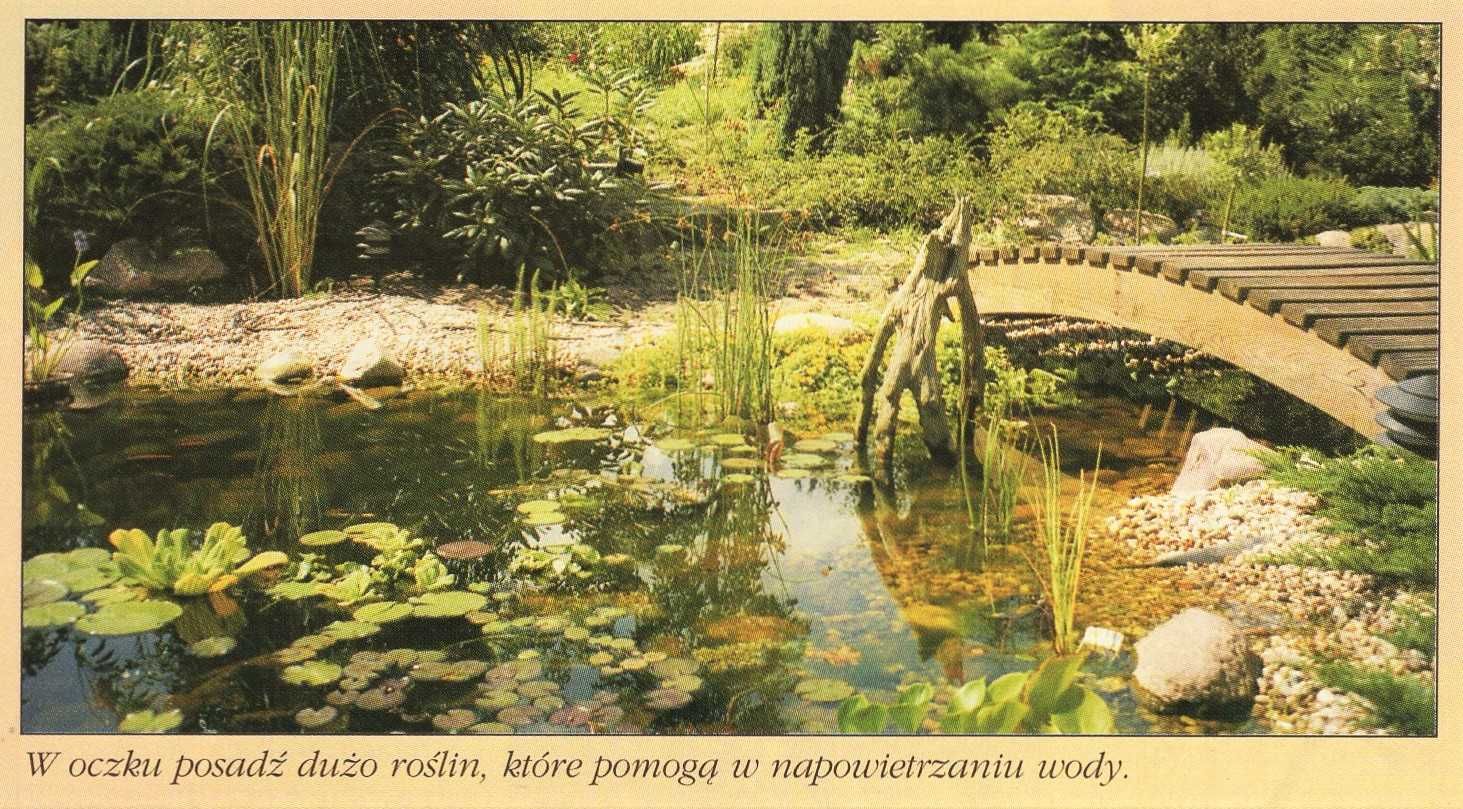 Twój Ogrodnik - nr 1 (!)  - trawnik, oczko wodne, skalniak