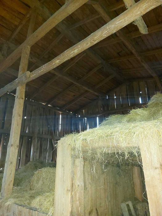 Bydgoszcz ok. Kobylarnia Działka 2220 m2 wśród zieleni- Stodoła GRATIS