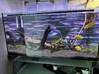 Aquario com iluminacao