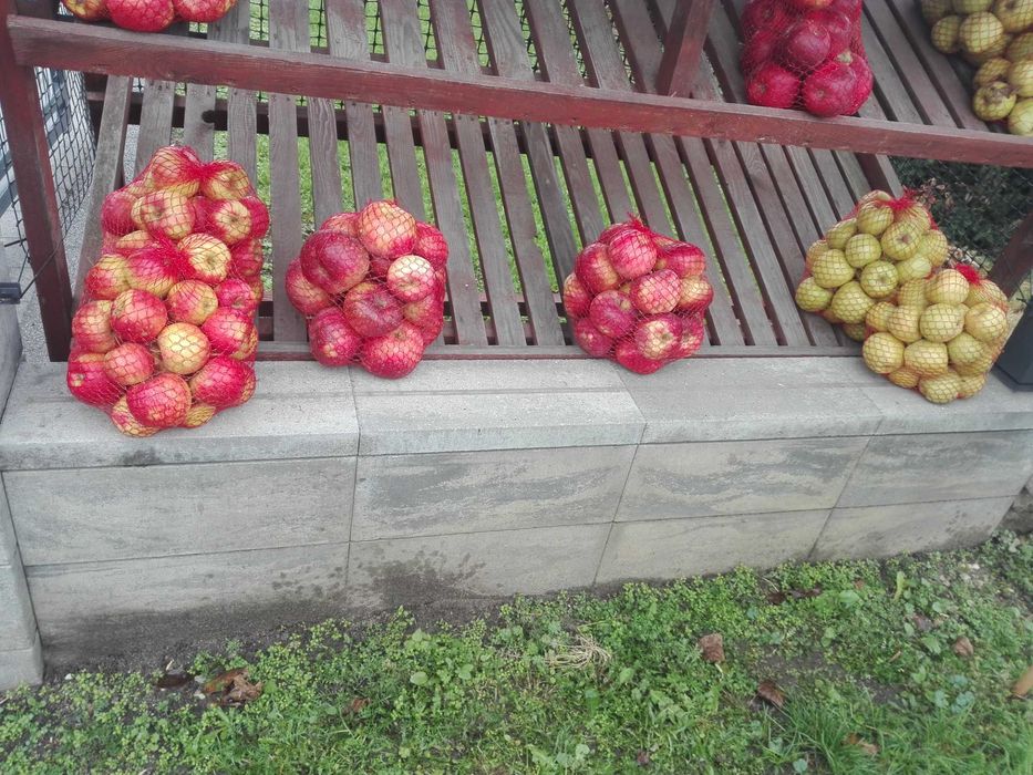 Sprzedaż jabłek tegorocznych