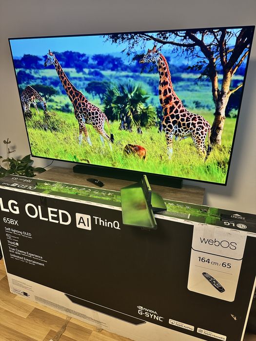 TV LG OLED 65" 4K 100Hz OLED65BX3LB bez wypaleń