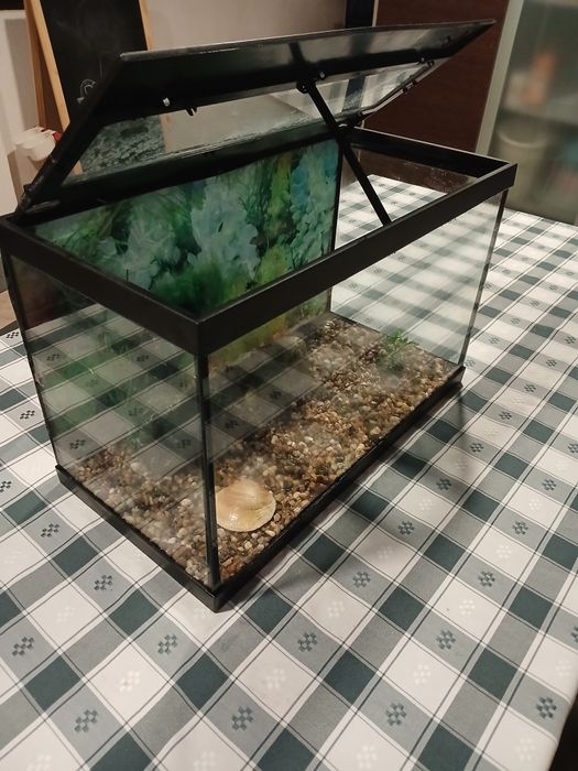 Aquario peixe ou tartaruga