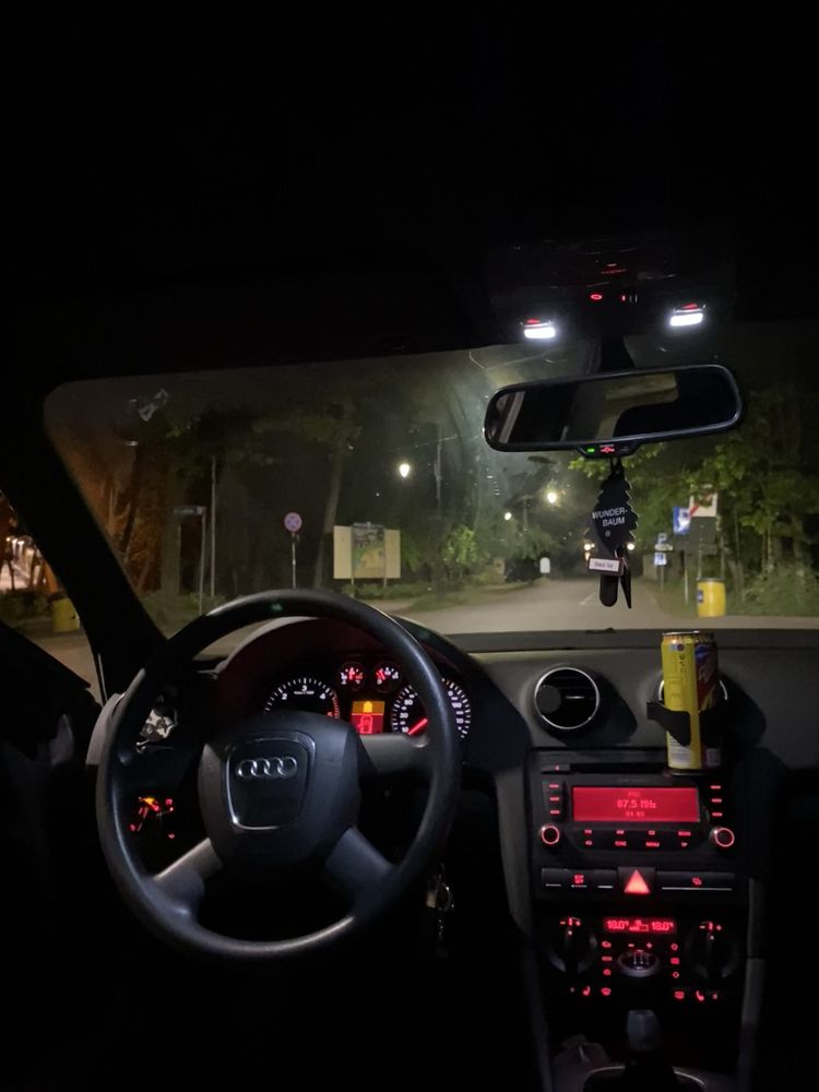 Audi a3 8p 2.0TDI