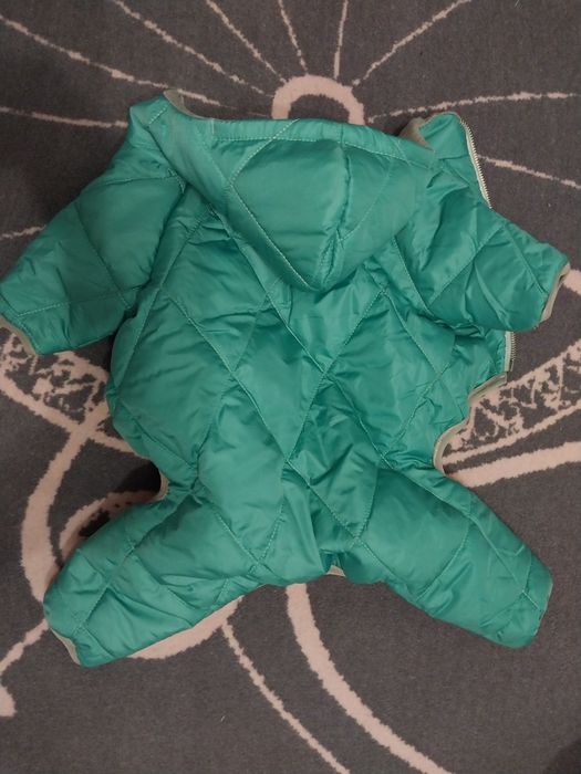 Одежда для маленьких собак