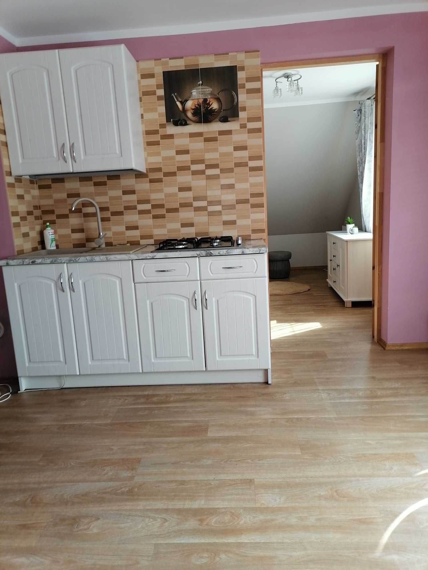 Domek noclegi apartamenty góry Bieszczady Baligród