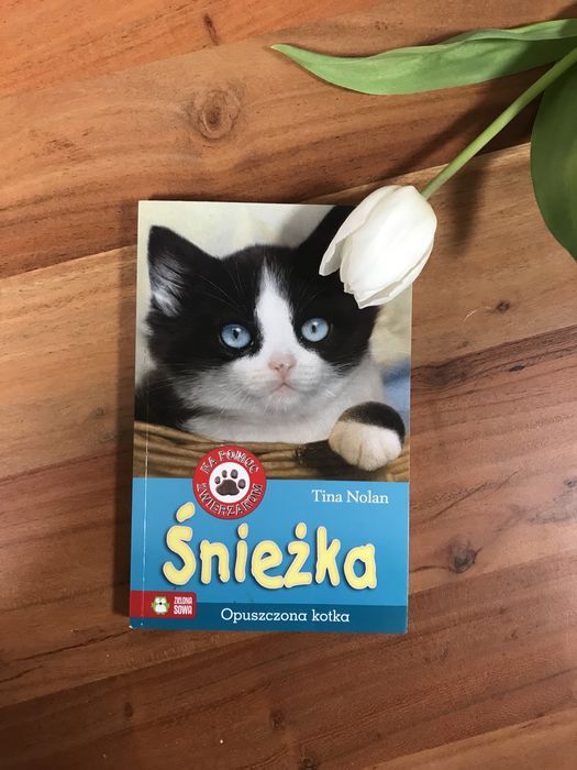 Ksiazka dla dzieci Śnieżka stan idealny