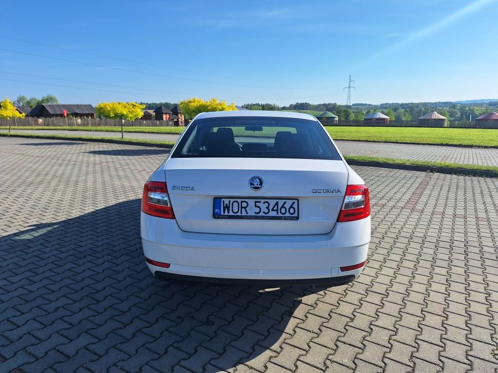 Skoda Octavia - miesięczna rata najmu w kwocie 1 700 zł/m