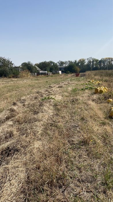 с. Витачів 25 сот. м. Київ  40 км