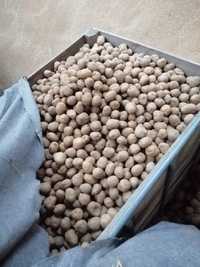 Ziemniaki Denar kaliber 35-55 tzw sadzeniak
