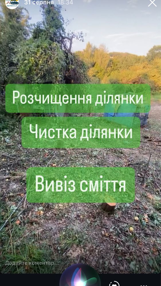 Чистка ділянки , Розчищення ділянки , Обрізка дерев , Покіс трави