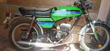 Mota Casal special