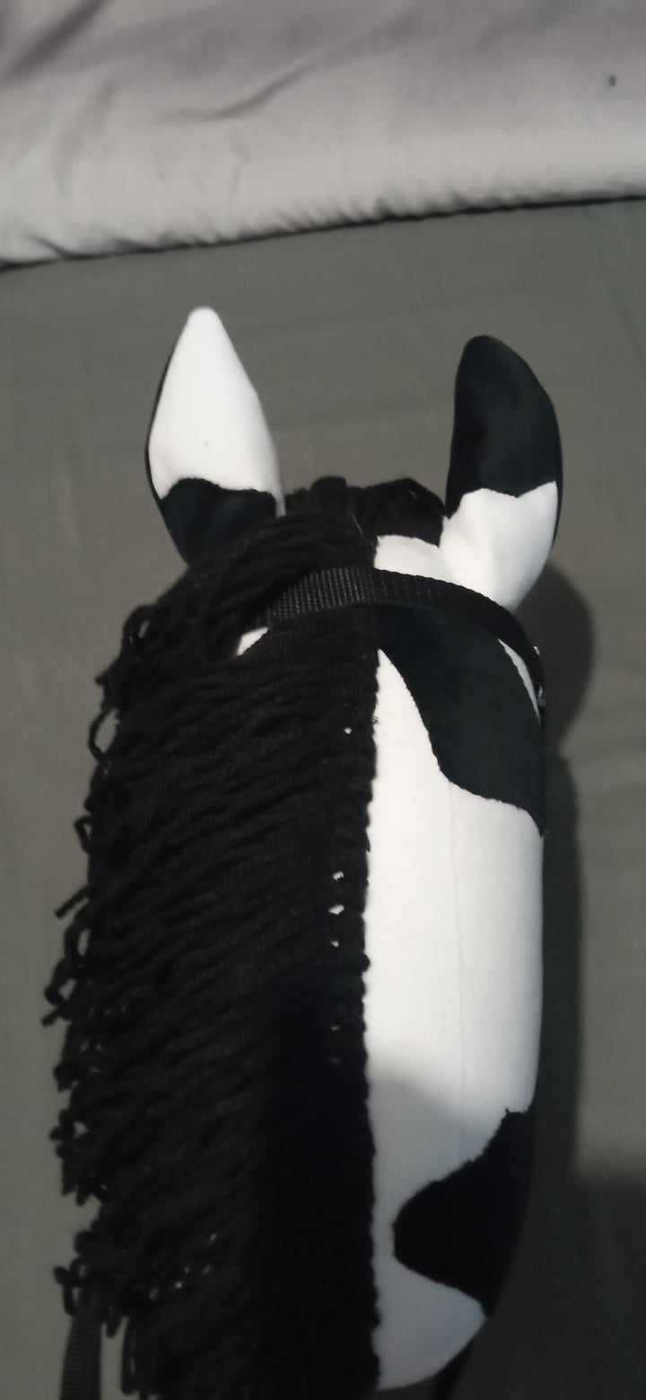 Hobby Horse _ A4 - koń na kiju