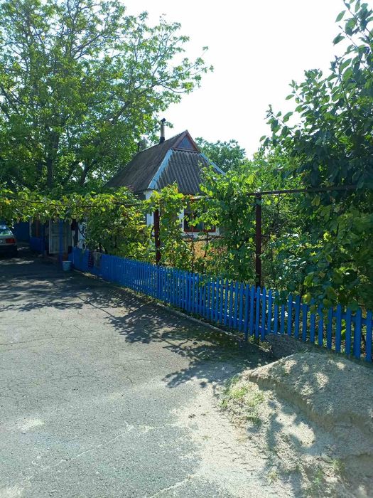 Продаю будинок з городом у с. Степове, Миколаївська обл.
