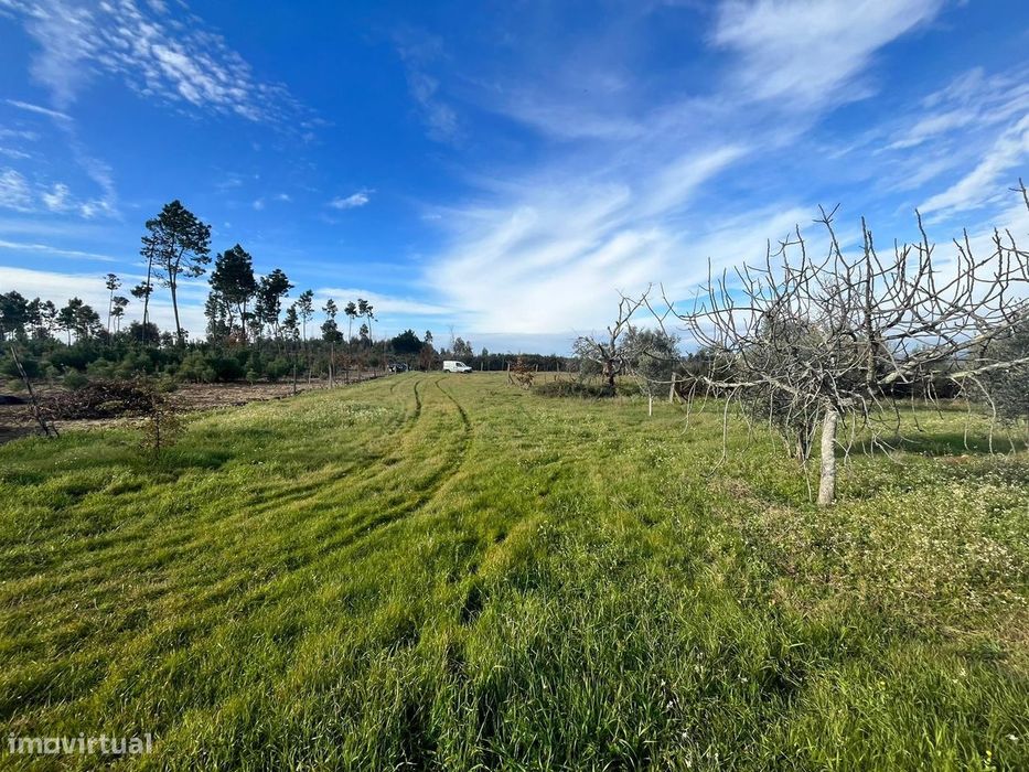 Quinta  Venda em Seixo da Beira,Oliveira do Hospital