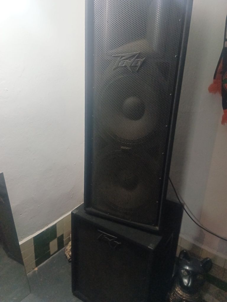 Акустическая система Peavey