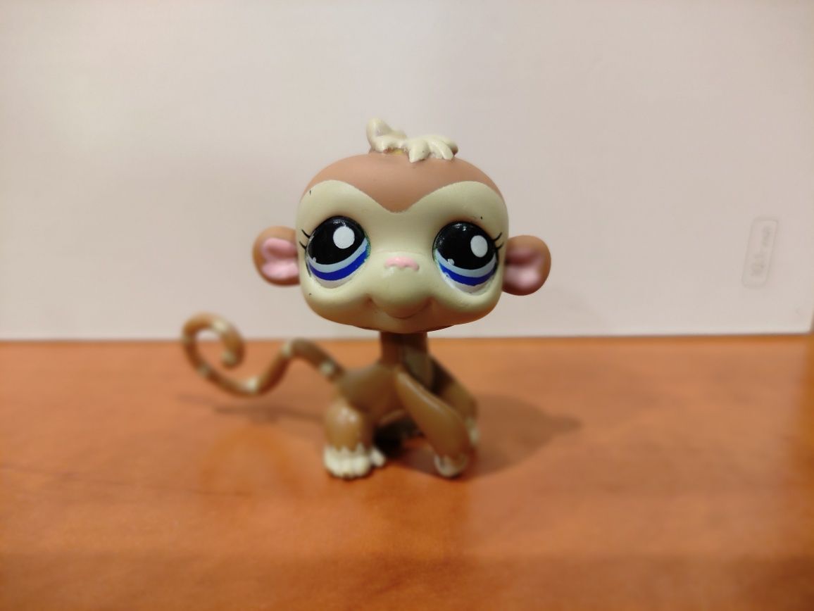 Littlest pet shop Hasbro   ( оригинал ) , обезьянка с аксессуарами