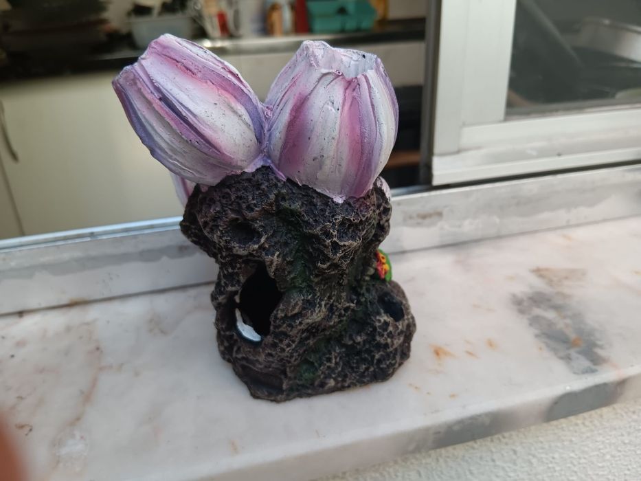 Decoração para aquario