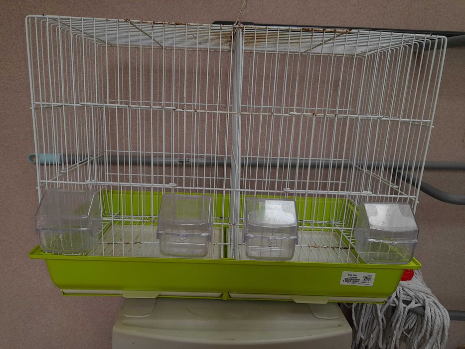 Gaiolas para pássaros