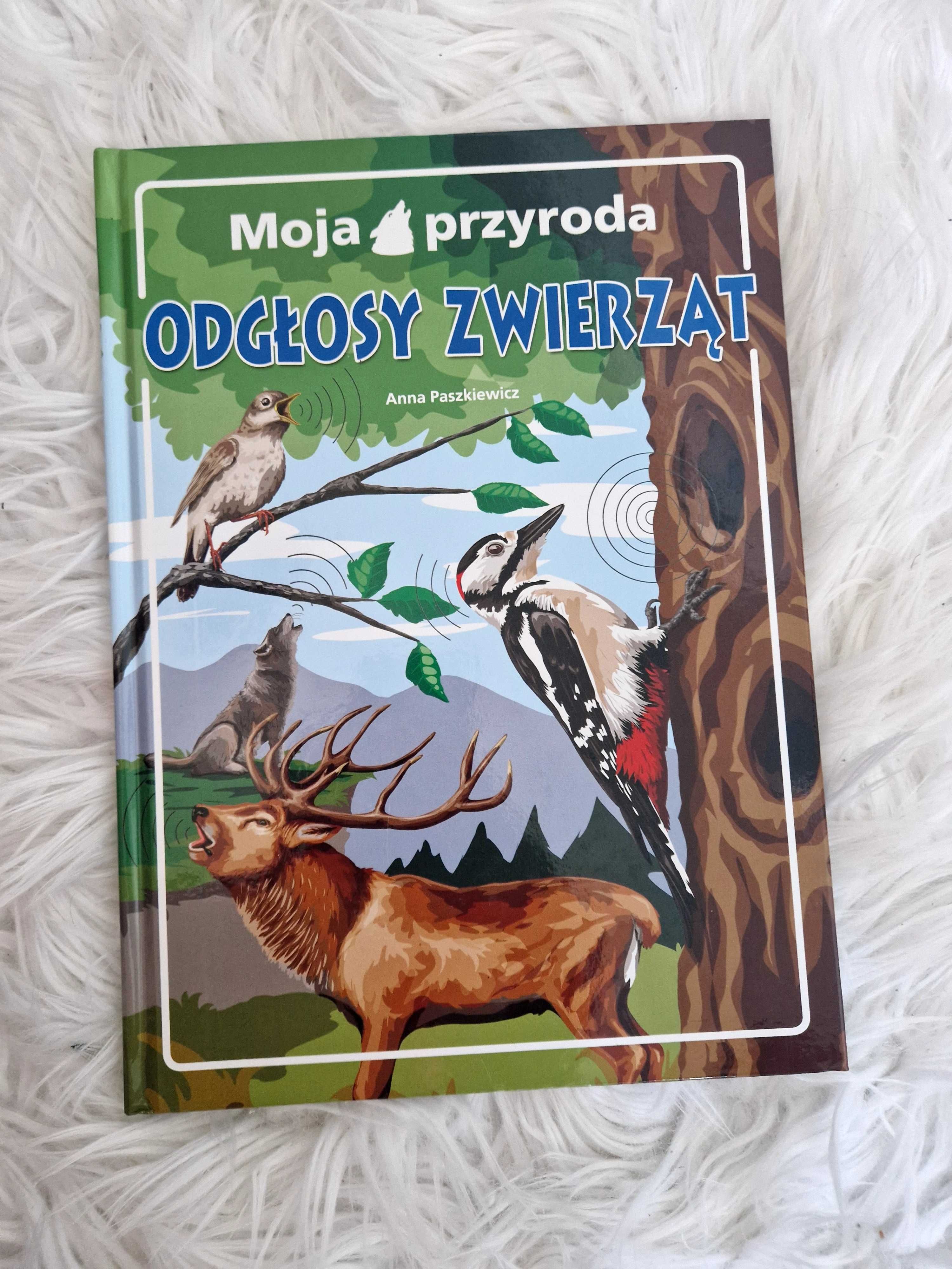 Odgłosy zwierząt książka dla dzieci