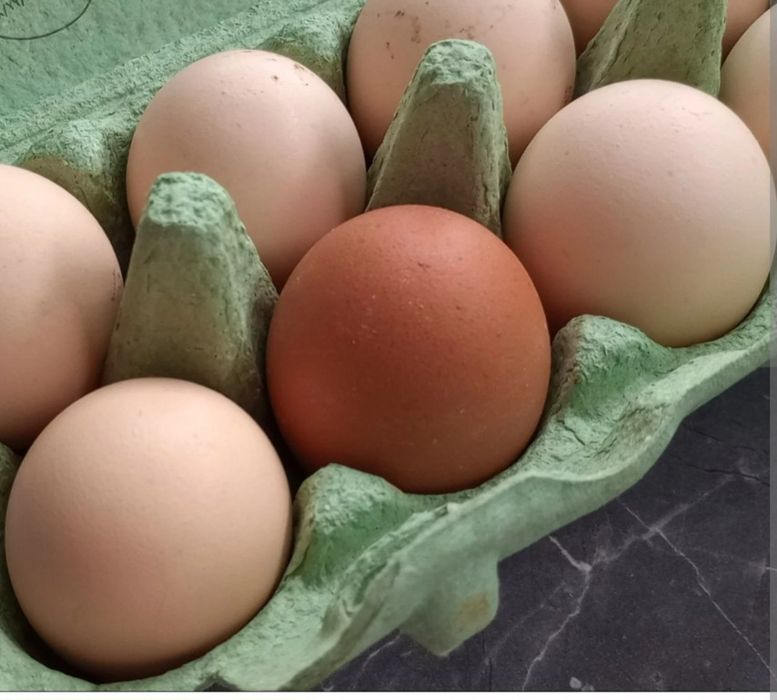 JAJKA- nadwyżka z gospodarstwa