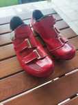 Sapatos Shimano RP5